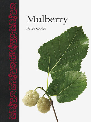 cover image of Mulberry